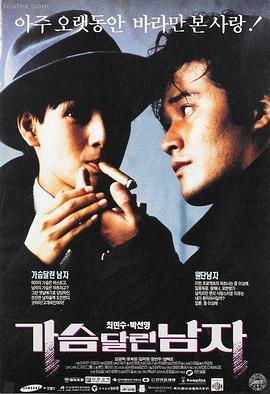 山茶开在第七年 全本小说封面