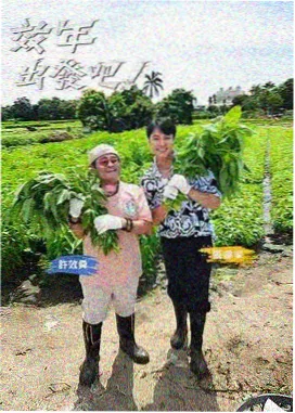 编辑推荐 免费全本小说封面